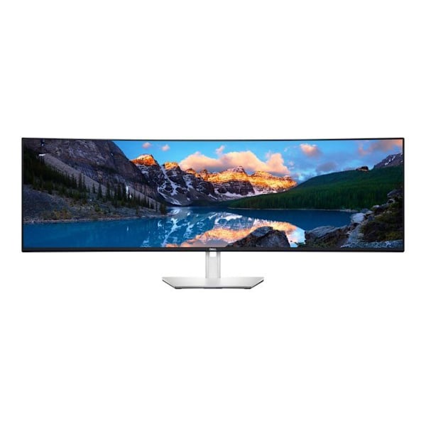 Dell UltraSharp U4924DW - skrue Sort, Sølv