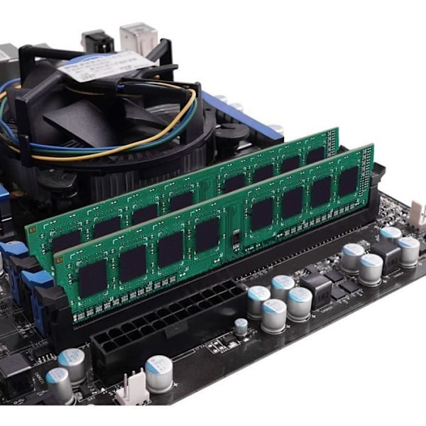 8 GB DDR3 1600 UDIMM-hukommelse - Silicon Power - To rækker - Integreret opsigelse - Livstidsgaranti