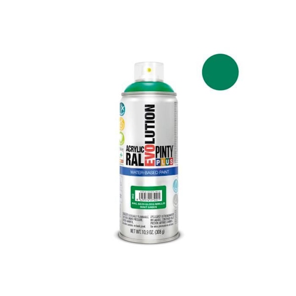 Spraymaling - Pintyplus - Evolution - 520cc - Ral 6029 - Mintgrøn Mintgrön
