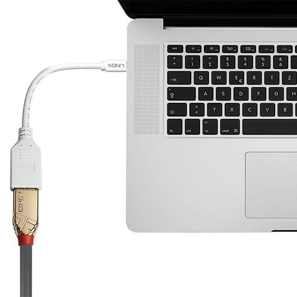 Adapterkabel - LINDY - Mini DP till DP - 20 cm - 360° skärmning - Vit
