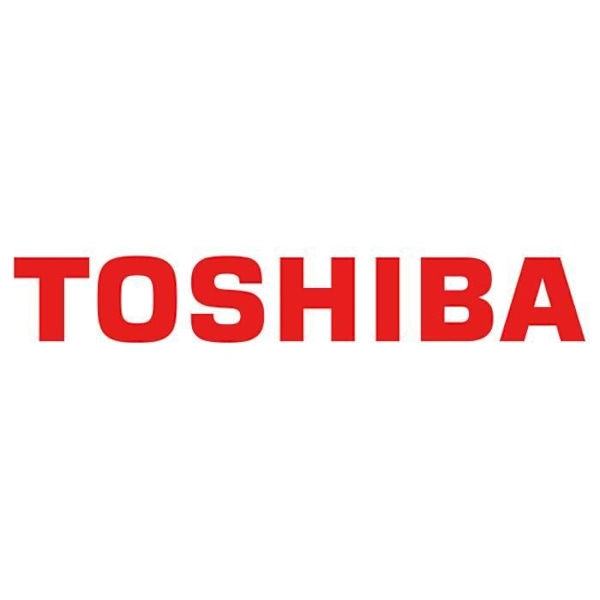 TOSHIBA BULK P300 Ydelse HDD 6To BULK P300 Ydelse Harddisk 6To 128MB 3.5tommer