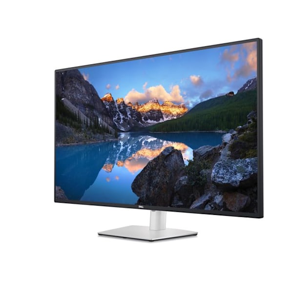 DELL UltraSharp 43 4K USB-C Skærm