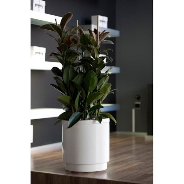 Hidrojardinera vesivarannon kukkaruukku - PLASTIKEN - Ø26 cm - Antrasiitinharmaa Antracit