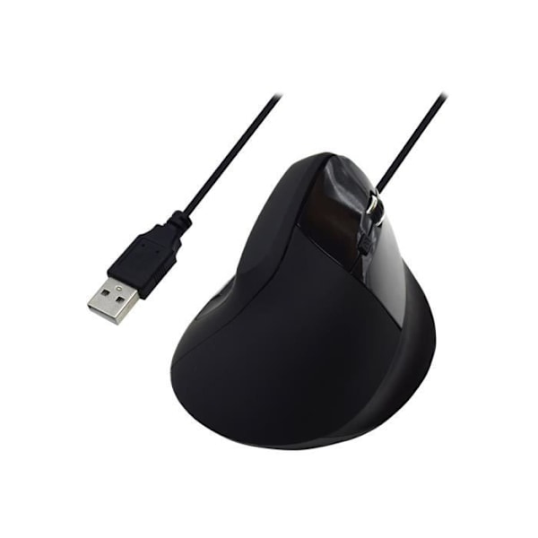 Ewent EW3157 optisk ergonomisk mus - Sort - 6 knapper - Kablet