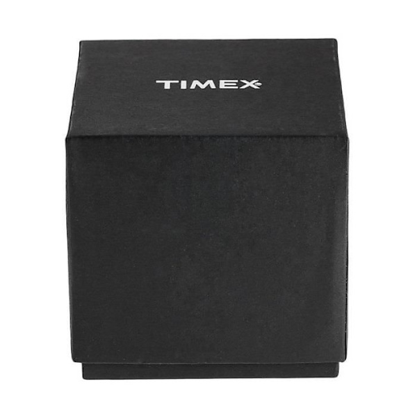 Montre Seul Le Temps Homme Timex Essex classique cod. TW2V02100 Timex Or Guld