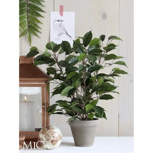 Kunstig Blomsterplante Ficus Natasja H40 cm - Glimmerdekorationer