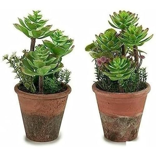 Dekorativ växt - IBERGARDEN - Flerfärgad - Mått 71x43x13,5 cm - Höjd 13 cm Flerfärgad