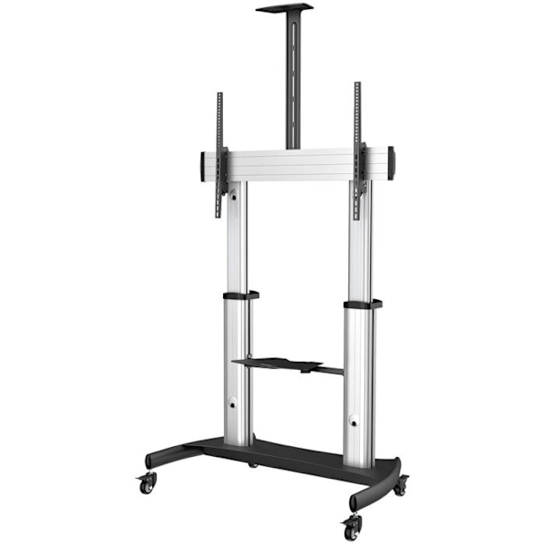 StarTech.com Mobilt TV-ställ - Robust TV-stödvagn för 60-100" skärmar 100 kg - Platt-TV-ställ på hjul - Höjd