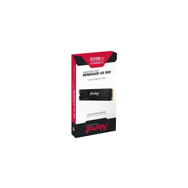 KINGSTON FURY Renegade G5 2048