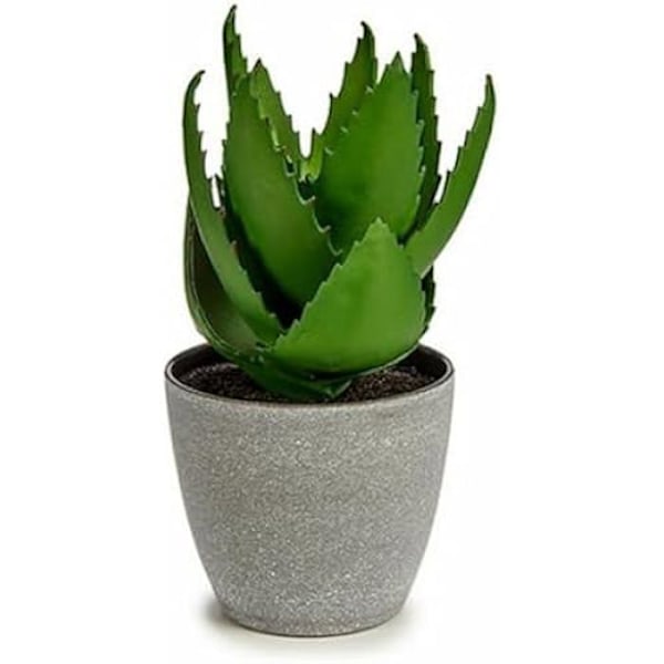 Dekorativ plante - IBERGARDEN - Aloe Vera - 15 x 23,5 x 15 cm - Plastik - 6 enheder Grön