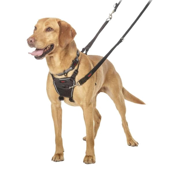 Hundsele - HALTI - No Pull-selen - Störrelse Medium - Färg Svart - Utomhusbruk Svart