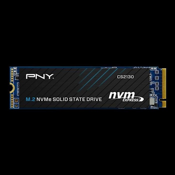 PNY – Sisäinen SSD-asema – CS2130 – 500 Gt – M.2 NVMe (M280CS2130-500-RB)