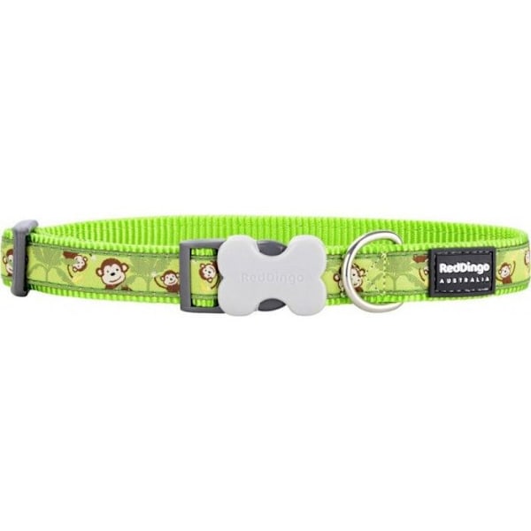 Koiran kaulus - PUNAINEN DINGO - Apina - Monivärinen - 20-32 cm - Vihreä mångfärgad