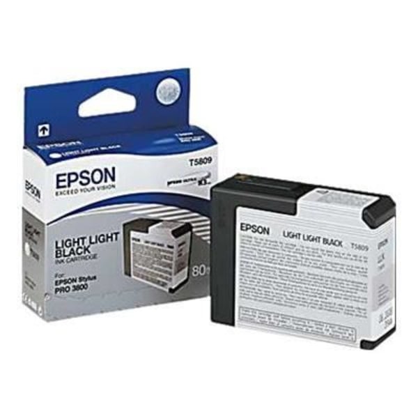 EPSON Pakke med 1 patron T5809 - Lys sort - Standard 80ml