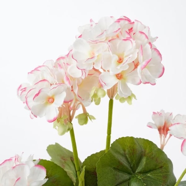 Konstgjord pelargonplanta i cementkruka - H34 x Ø20 cm - Vit, rosa - Glimmerdekorationer vit, lila