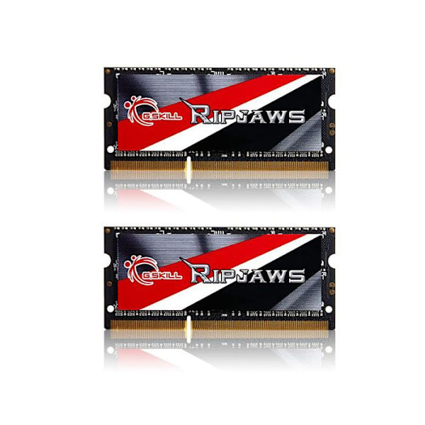 G.SKILL Ripjaws Series 16 GB DDR3 1600 MHz SO DIMM 204 stikker RAM