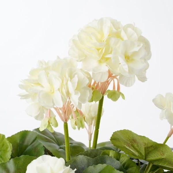 Konstgjord pelargonplanta i cementkruka - H34 x Ø20 cm - Kräm - Glimmerdekorationer Grädde