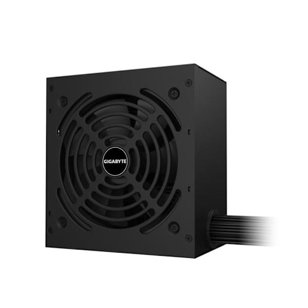 Gigabyte GP-P650G Svart