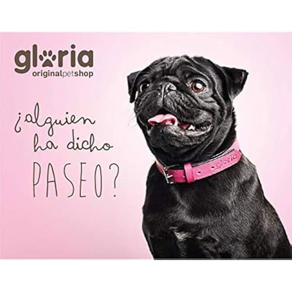 Krage - GLORIA - Nubuckläder - Blå - Justerbar - D-Ring Blå
