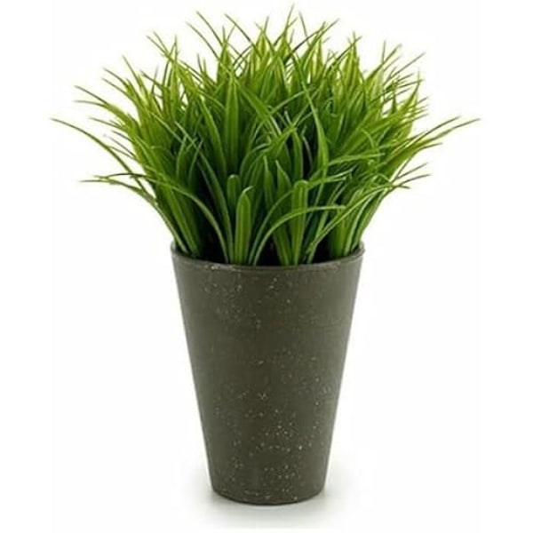Dekorativ plante - IBERGARDEN - Grøn/Grå model - 11 x 18 x 11 cm - 12 enheder - Plastik Flerfarvet