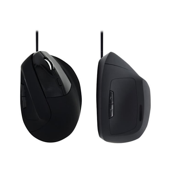 Ewent EW3157 optisk ergonomisk mus - Sort - 6 knapper - Kablet