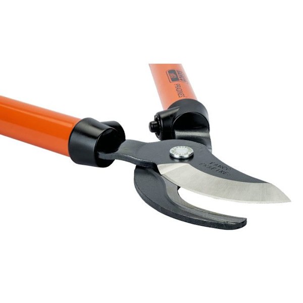 Ebrancheur tradition L : 45 cm