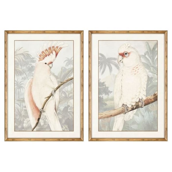 tropisk papegoja ram 50 x 3 x 70 cm (2 enheter)