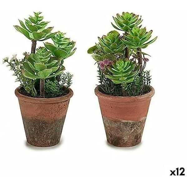 Dekorativ växt - IBERGARDEN - Flerfärgad - Mått 71x43x13,5 cm - Höjd 13 cm Flerfärgad