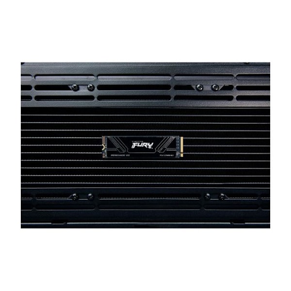KINGSTON FURY Renegade G5 2048