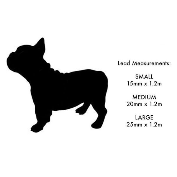 Snor - strop - kobling - skede til strop Rød dingo - L4-ZZ-TQ-20 - Turkis hundesnor (2 x 120 cm)