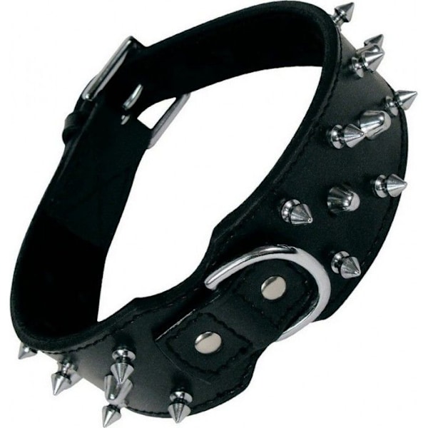Halsband för Hund - NC - Gloria - Svart - 70 cm - Nitar Svart