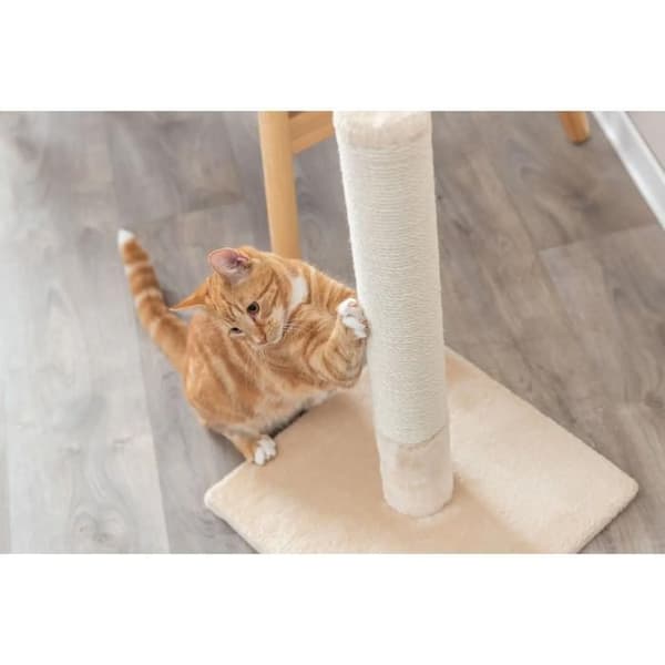 Trixie Batres kissojen puu beige