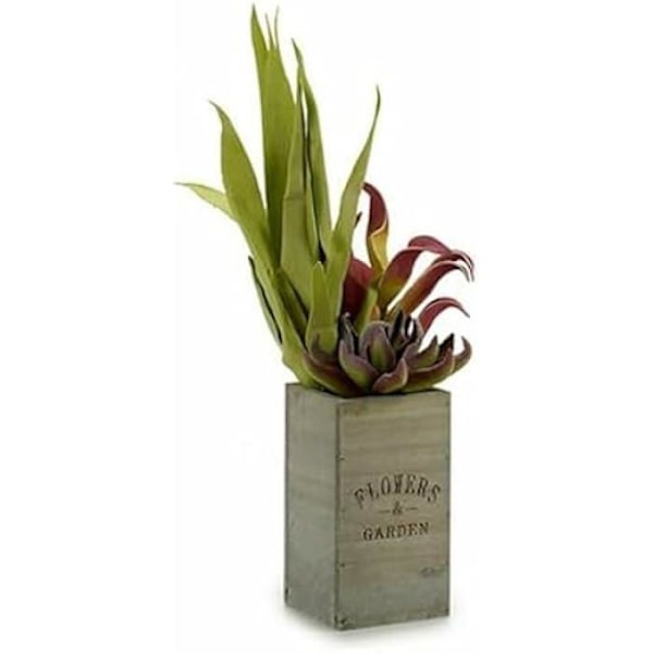 Dekorativ plante - IBERGARDEN - Blomsterhave - Brungrøn - 10 x 50 x 10 cm - 4 enheder Brun