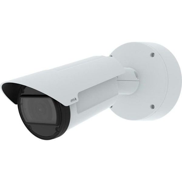 IP-säkerhetskamera Axis 02506-001 Bicolor