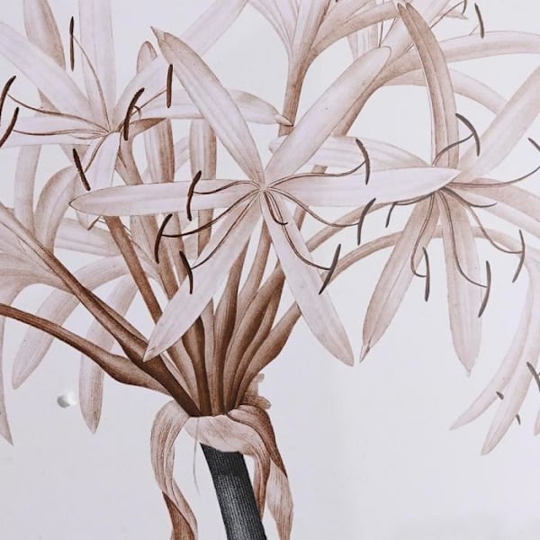 birkeglasramme 55 x 70 x 2,5 cm 55 x 2,5 x 70 cm blomster (4 stk) - Farve: GRÅ