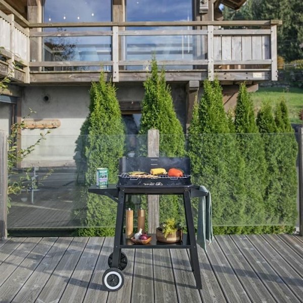 Kulgrill med kul - LIVOO - DOC328 - Rustfrit stål - Stegeflade 48,5 x 28,8 cm - Justerbar højde 70-84 cm Svart