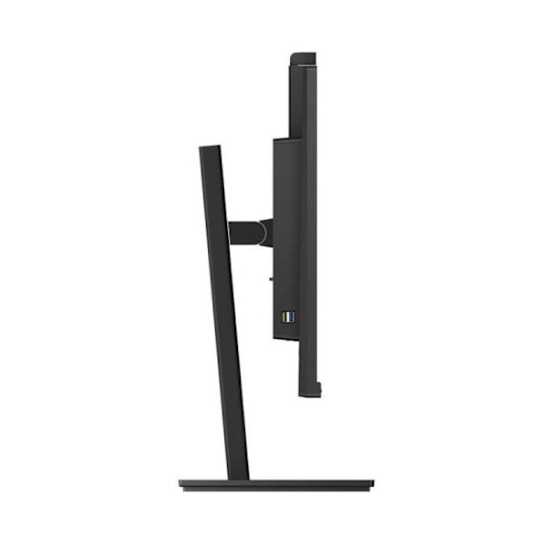 Philips P-line 329P1H - skærm