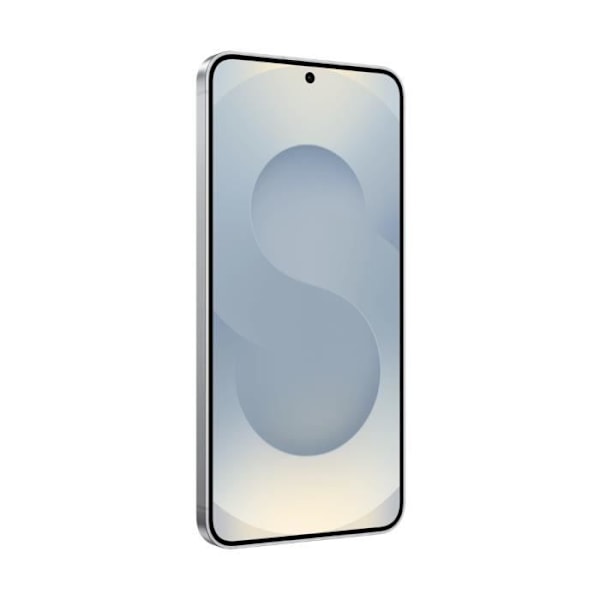 Samsung Galaxy S25 5G 12 Go/128 Go Harmaa (Silver Shadow) Kaksois-SIM SM-S931B