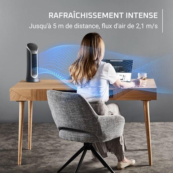 Rowenta Eole Compact, Søjleventilator, Intens køling VU6220F0 Svartvitt