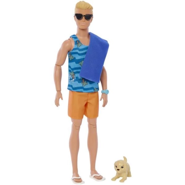 BARBIE - BARBIE KEN SURFFIGUURI + TARVIKKEET (CP6) - 21A - nukke - 3 vuotta ja + Flerfärgad