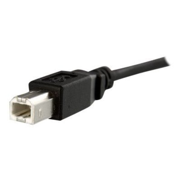 Paneeliasennettu USB-kaapeli B - B - F/M - 30 cm - Musta - STARTECH