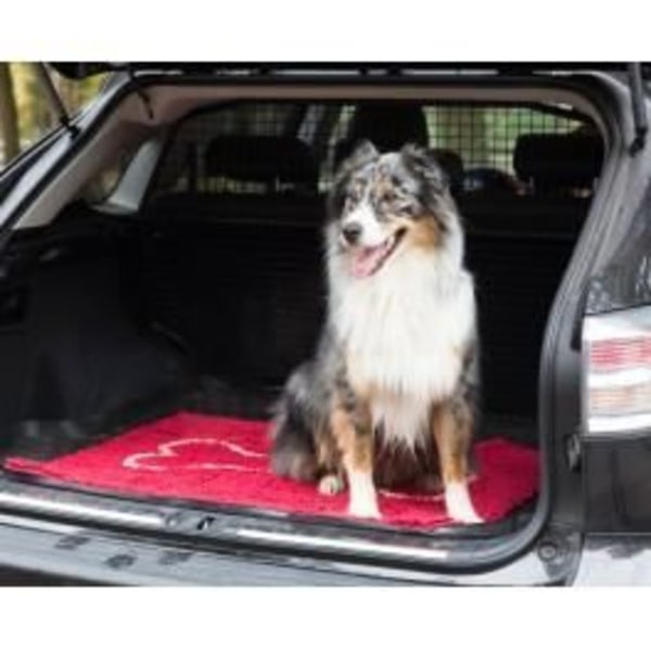 Absorberende Dørmåtte - SNESE DOG - Dørmåtte - Grå - Brun - Skridsikker grå, brun, röd