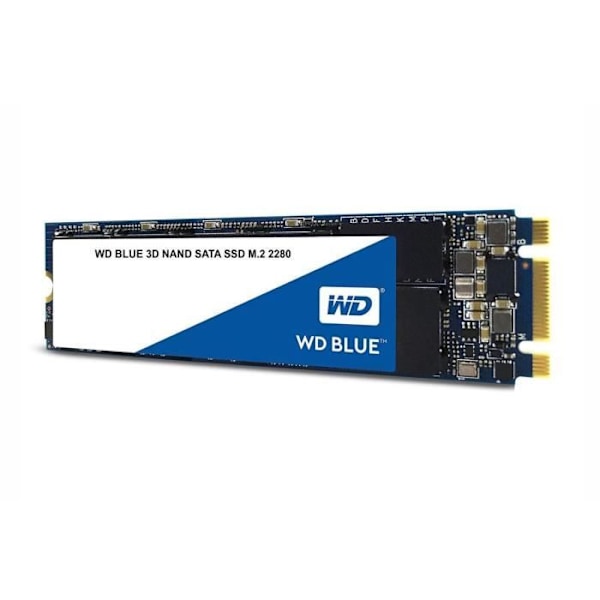 WESTERN DIGITAL SA510 harddisk - SATA SSD - 1TB intern - M2 format - Blå