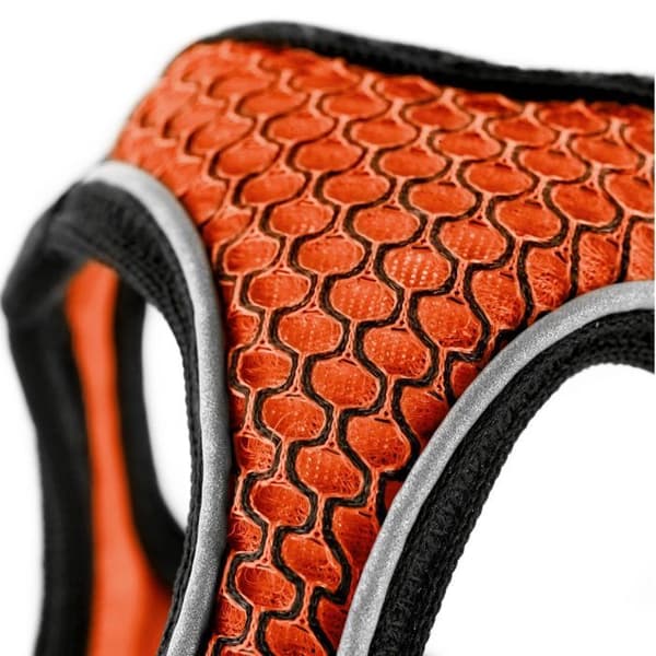 Hunter Hilo Comfort -koiran valjaat orange