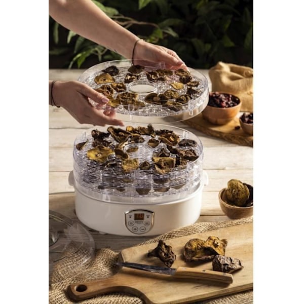 Champignon, urter og fødevarer dehydrator Camry CR 6659 hvid