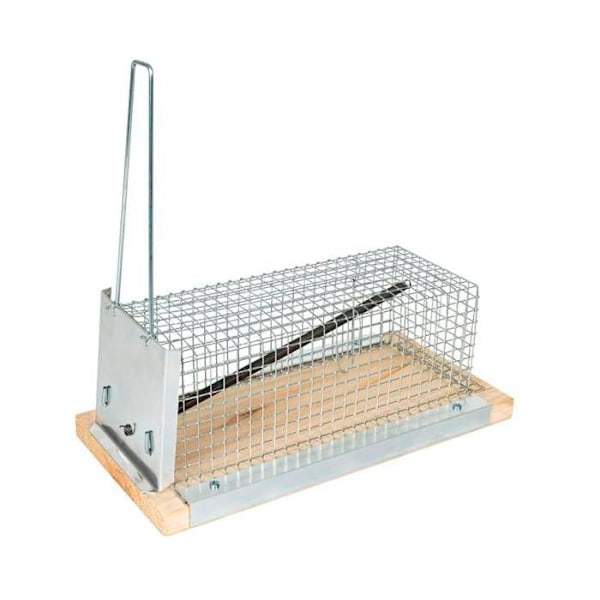 Ratonera - MARQUE - 21 cm - Brun - Intérieur - Style Industriel