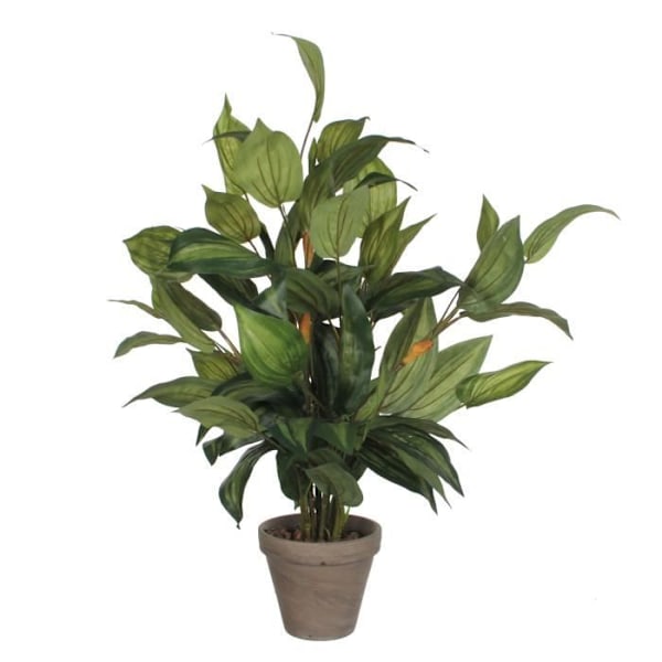 Mica Decorations Hosta Konstgjord växt - H65 x Ø40 cm - Grön Grön