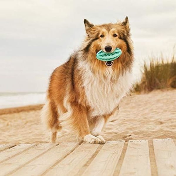 Tandbold til hunde - GLORIA - Rugby model - 11 cm - Slidstærkt gummi - Flerfarvet Flerfärgad