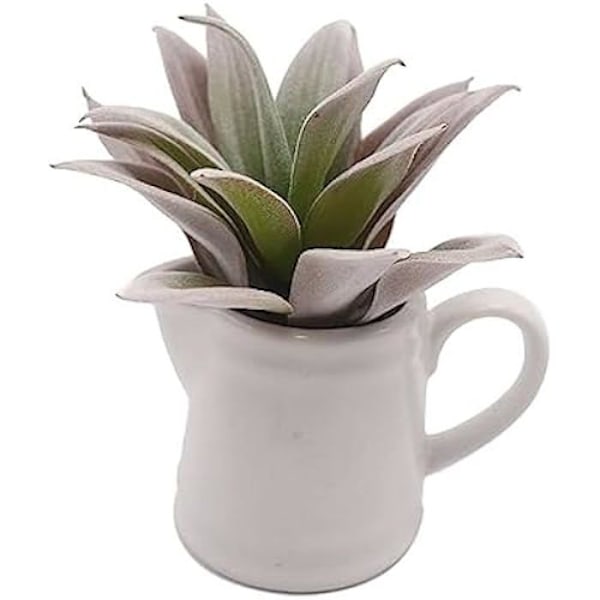 Dekorativ plante - VERSA - Standard - Flerfarvet - 12,93 x 12,93 x 13,44 cm - Højde 13 cm
