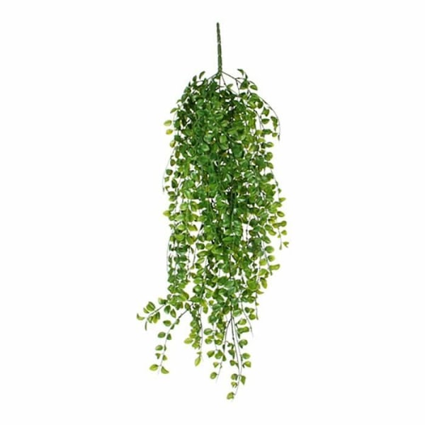 Dekorativ växt - Mica - Pendel - 81 cm - Ficus - Inomhus